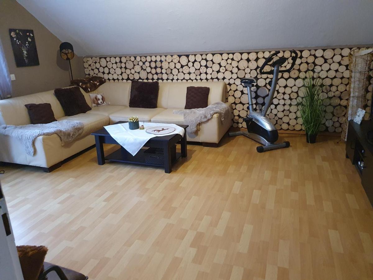 Ferienwohnung Am Siegelbaechle Mit E-Bikes Vermietung Гутах-им-Брайсгау Экстерьер фото